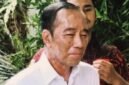 Jepretan foto salah satu awak media, terlihat wajah Jokowi dipenuhi bercak putih di pipi, dahi, hingga leher tampak memerah.