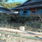 Akses rumah Supardi di Gowa tertutup rumpun bambu akibat konflik lahan warisan.