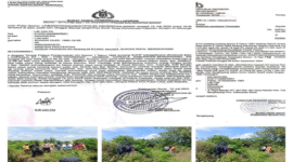 Laporan Polisi dan Lahan Sawit