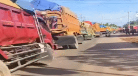 Dumk Truk Pengankut Material Moncong loe- BTP