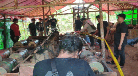 Saat Pengerebekan Tambang Emas di Desa Batumalonro