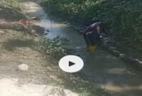 Proyek Irigasi dan buruh tanpa K3 di Luwu Utara