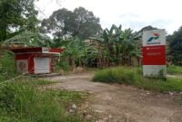 Pengecer ilegal di pinggir jalan bebas menjualnya