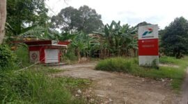 Pengecer ilegal di pinggir jalan bebas menjualnya