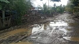 Jalan poros desa Punaga, Kabupaten Takalar
