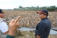 Bupati Aceh Utara Minta Pusat Bangun Hunian Sementara untuk Pengungsi