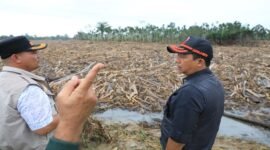 Bupati Aceh Utara Minta Pusat Bangun Hunian Sementara untuk Pengungsi