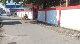 pembangunan pagar dan paving blok SDN 70 Boddia,