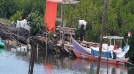 Arang yang Diangkut Ke Perahu Jolloro