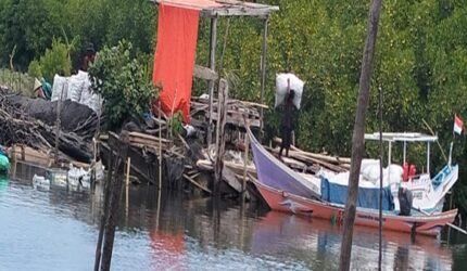 Perusakan Bakau Terjadi Terang-terangan, Tanakeke Tanpa Perlindungan