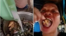 Foto Kolase – Influencer Filipina Emma Amit Saat Menyantap “Kepiting Setan”