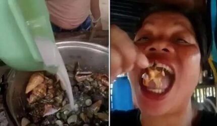 Nekat Demi Konten, Influencer Filipina Meninggal Usai Makan “Kepiting Setan”