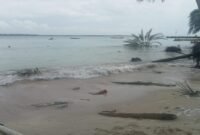 Abrasi pantai yang kian meluas terus menggerus wilayah Pulau Satangnga, Desa Mattiro Baji