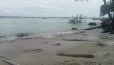 Abrasi pantai yang kian meluas terus menggerus wilayah Pulau Satangnga, Desa Mattiro Baji
