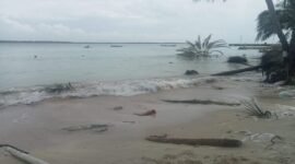 Abrasi pantai yang kian meluas terus menggerus wilayah Pulau Satangnga, Desa Mattiro Baji