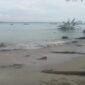 Abrasi pantai yang kian meluas terus menggerus wilayah Pulau Satangnga, Desa Mattiro Baji