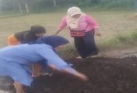 Infrastruktur Hancur, Kepercayaan Ikut Runtuh, Tamparan Keras untuk Pemkab Jeneponto