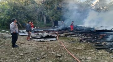 Dua unit rumah panggung di Dusun Manyili, Desa Pallimae, Kecamatan Sabbangparu, Kabupaten Wajo