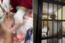 Foto close-up penanganan medis pada luka tebas serius di telapak tangan kiri Hz. Di sebelah kanan, foto menunjukkan Hz, seorang tokoh masyarakat dengan kemeja dan peci putih, berdiri di dalam sel tahanan Polsek. (Kolase)