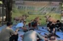 Sejumlah karyawan dan manajemen MaxOne Hotel & Resort Makassar bergotong royong memotong dan mengemas daging kurban untuk dibagikan kepada warga sekitar dalam rangka Hari Raya Idul Adha 1447 Hijriah, Rabu (27/5/2026).