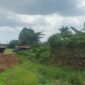 Aktivitas penimbunan lahan di kawasan BTN Cita Alam Lestari, Lingkungan Beroanging, Kelurahan Tamarunang, Kecamatan Somba Opu