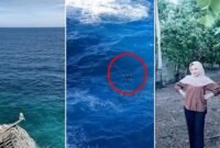 Tangkapan layar video yang memperlihatkan kawasan wisata Tebing Apparalang di Kabupaten Bulukumba, kondisi Elmi (17) saat terombang-ambing di laut usai diterjang ombak (lingkaran merah), serta foto korban yang hingga kini masih dalam pencarian tim SAR gabungan, Minggu (7/6/2026).