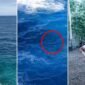 Tangkapan layar video yang memperlihatkan kawasan wisata Tebing Apparalang di Kabupaten Bulukumba, kondisi Elmi (17) saat terombang-ambing di laut usai diterjang ombak (lingkaran merah), serta foto korban yang hingga kini masih dalam pencarian tim SAR gabungan, Minggu (7/6/2026).