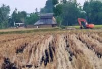 Sebuah ekskavator terlihat berada di area persawahan di Dusun Ciniayo, Desa Pannyangkalang, Kabupaten Gowa.