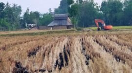 Sebuah ekskavator terlihat berada di area persawahan di Dusun Ciniayo, Desa Pannyangkalang, Kabupaten Gowa.