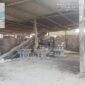 Pabrik Paving Block di Parangtambung