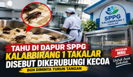 Makanan MBG Disebut Pernah Dihinggapi Kecoa, SPPG Kalabbirang 1 Diminta Diperiksa