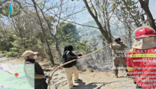 Polisi Kehutanan (Polhut), Manggala Agni dan Damkar