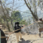 Polisi Kehutanan (Polhut), Manggala Agni dan Damkar