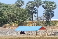 Aktivitas proyek penimbunan yang menggunakan material dari wilayah Dusun Pandanga, Desa Aeng Batu-Batu